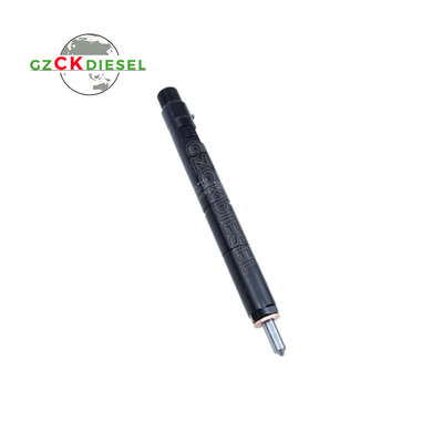 購入 デルファイエンジン用ディーゼル燃料インジェクター EJBR04001D 166009384R online manufacture